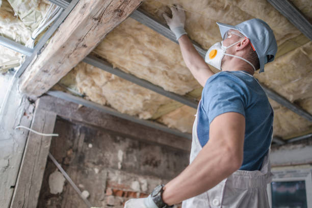 Best Commercial Insulation in Woodlake, VA