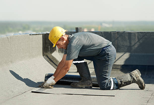 Types of Insulation We Offer in Woodlake, VA