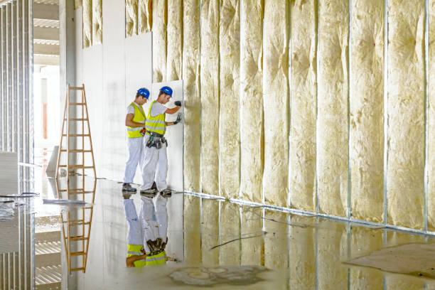 Best Insulation Maintenance and Repair in Woodlake, VA